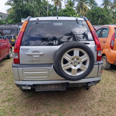 Lot – 19