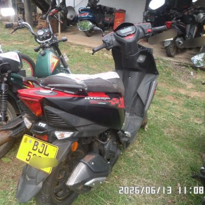 Lot – 54