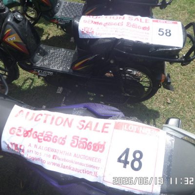 Lot – 48