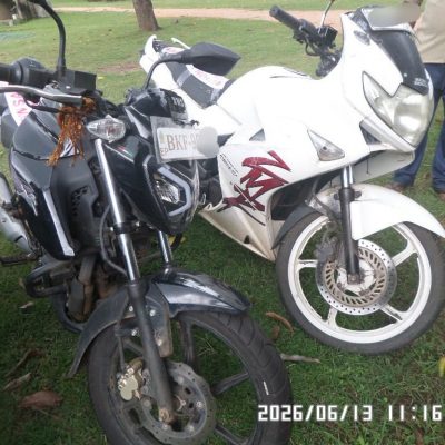 Lot – 59