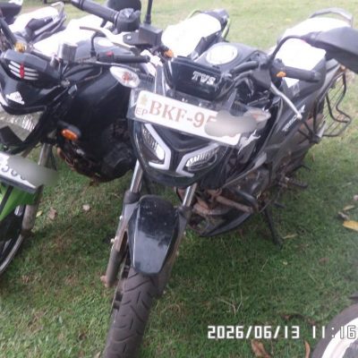Lot – 56