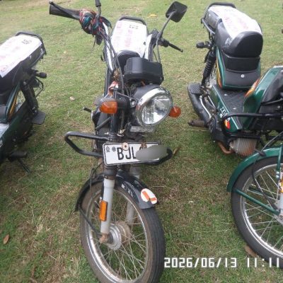 Lot – 53