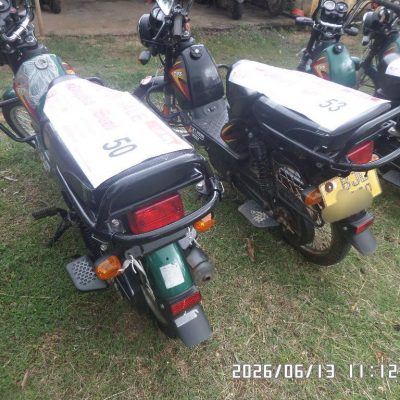 Lot – 50