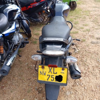 Lot – 31