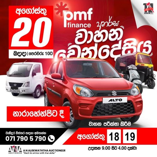 pmf_20-2