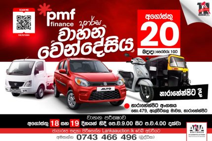 pmf_20